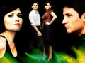 Haley And Nathan - one-tree-hill photo