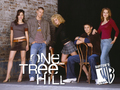 one-tree-hill - One Tree Hill <3 wallpaper
