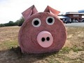 Pig - animals fan art