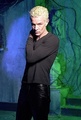 Spike/James Marsters - buffy-the-vampire-slayer photo