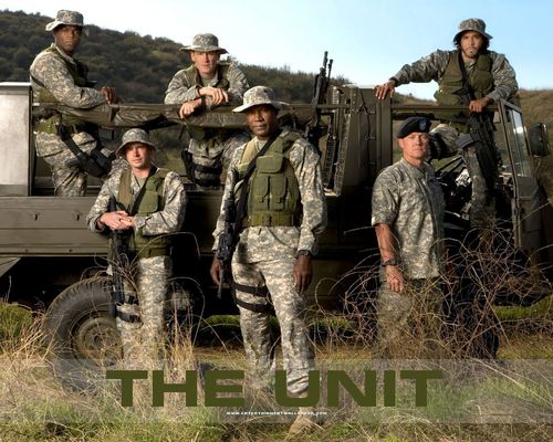  The Unit