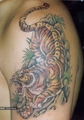 Tiger - tattoos photo