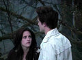 Twilight - twilight-movie photo