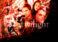 Twilight wallpaper - twilight-series photo