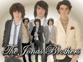 jonas brothers - the-jonas-brothers photo
