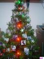my christmas tree - twilight-series photo