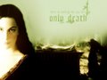 lord-of-the-rings - Arwen wallpaper
