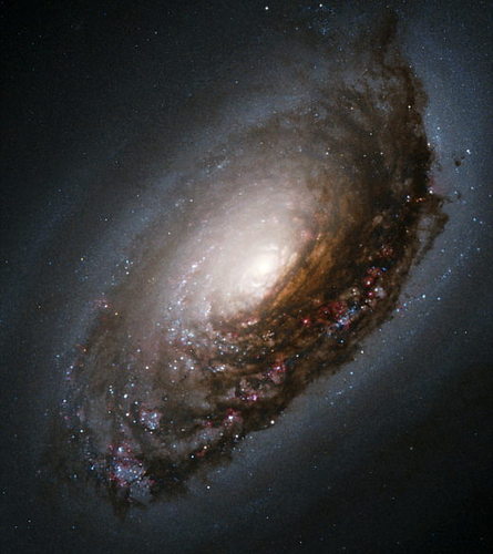  Black Hole's Galaxy M64