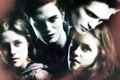 Edward & Bella Banner - twilight-series fan art