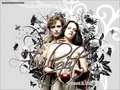 Edward & Bella - edward-and-bella wallpaper