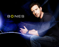 bones - Hodgins wallpaper