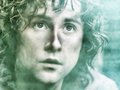 lord-of-the-rings - Pippin wallpaper