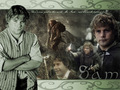 Sam - lord-of-the-rings wallpaper