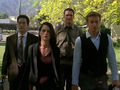 The Mentalist - the-mentalist photo
