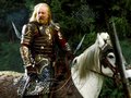 lord-of-the-rings - Theoden wallpaper