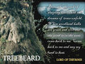 Treebeard - lord-of-the-rings wallpaper