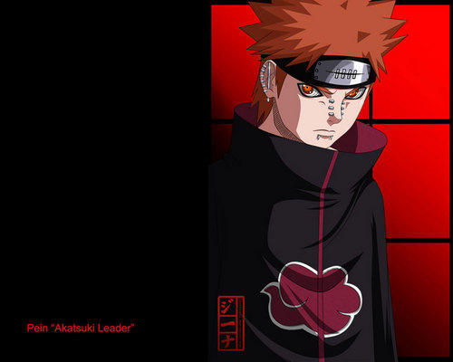  Akatsuki leader...pain