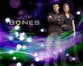 bones - B&B wallpaper