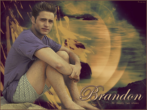  Brandon