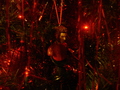 Buffy Tree - Werewolf Oz - buffy-the-vampire-slayer photo