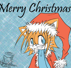  크리스마스 Tails