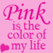 Pink - pink-color icon