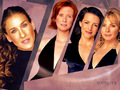 sex-and-the-city - SATC wallpaper