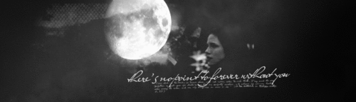  Twilight Movie Banner