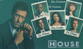 house md wallpaper - house-md photo
