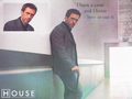 house-md - house md wallpaper wallpaper