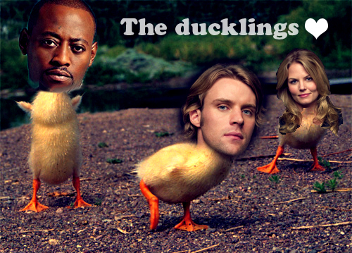  the ducklings