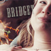 Bridget Jones - bridget-jones icon