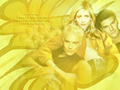 Buffy, Spike, and Angel - buffy-the-vampire-slayer photo
