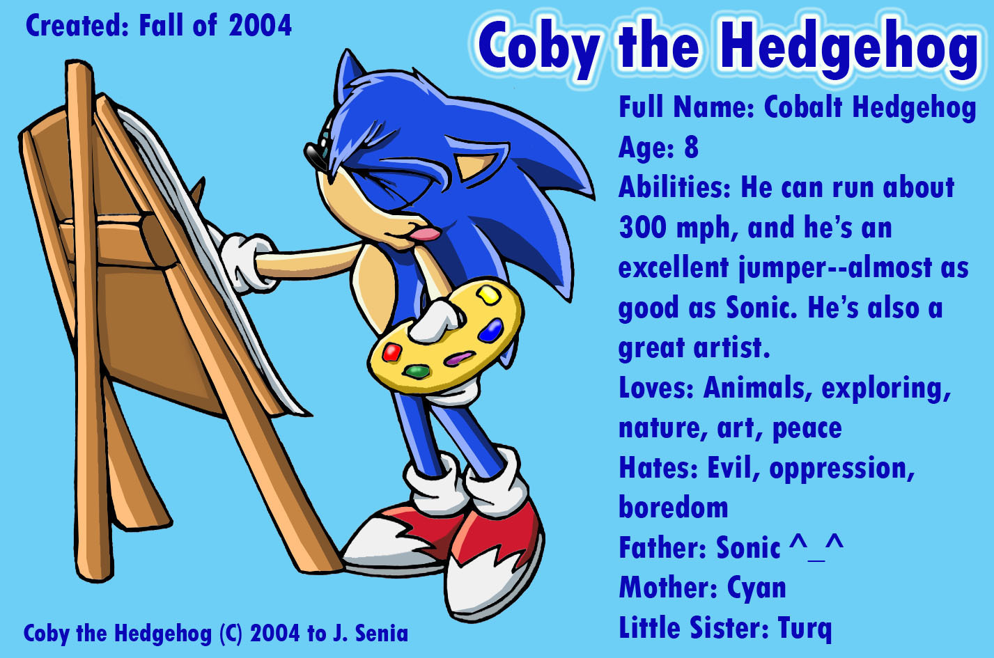 Coby-s-old-Profile-cyan-the-hedgehog-3231659-1427-945.jpg