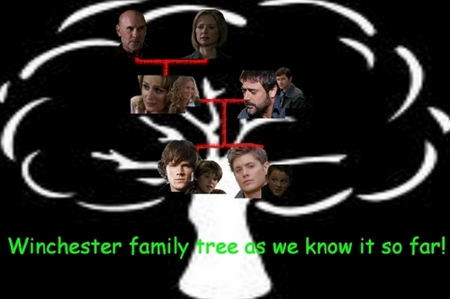  Family pohon