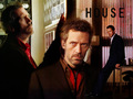 House - house-md wallpaper