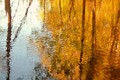 Autumn River - autumn photo