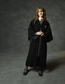 Chamber of Secrets - hermione-granger photo