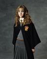 Chamber of Secrets - hermione-granger photo