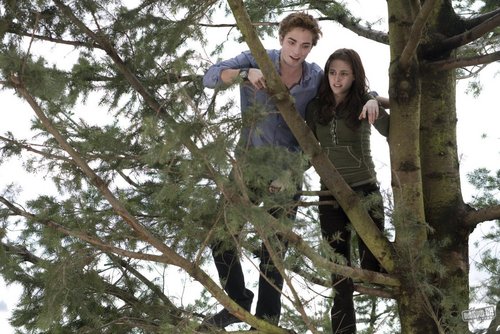  Edward and Bella Stills HQ