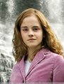 Goblet of Fire - hermione-granger photo