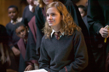 hermione goblet of fire