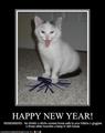 Happy New Year! - lol-cats photo