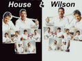 house-md - HouseWilson wallpaper
