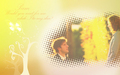 the-office - Jim and Pam wallpaper