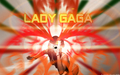 lady-gaga - Lady GaGa  wallpaper