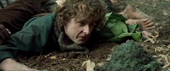  The Fellowship of the Ring: Shortcut to Mushrooms