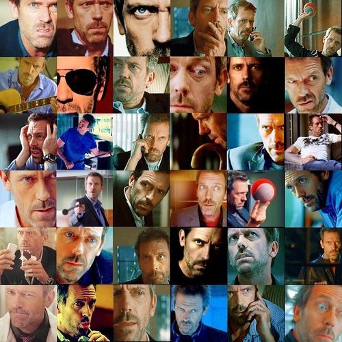  The Many Faces of Greg House 1