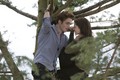 Twilight Stills HQ - twilight-series photo