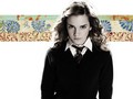 Wallpaper - hermione-granger wallpaper